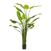 PrettyPlants Strelitzia Nicolai Kunstplant 235cm