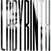 Konkurrent Heather Woods Broderick - Labyrinth (LP)