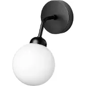 Nuura Wandlampe , Apiales, dimbare, Zwart, Woonkamer, Glas, Scandinavisch