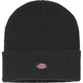 Dickies DK0A4Y63 Gebreide Beanie-Muts