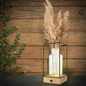 Happy Life Sfeervolle Tafellamp - Draadloze LED Vaaslamp - Glazen Vaas - Industrieel Design - 26 x Ø13 cm - Ideaal Cadeau voor Haar