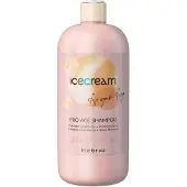 Inebrya Shampoo Inebrya Ice Cream Argan Age Pro-Age 1 L