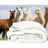 ISleep Alpaca wollen enkel dekbed - Lits-jumeaux - 240x200 cm