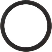 Zipp Freehub Body Seal Zipp Zwart