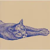 Konkurrent Koen Holtkamp - Field Rituals (CD)