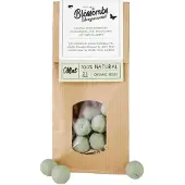 Blossombs Zaadbommetjes in Kraft Zak - 50 Bloembommetjes - Mintgroen - Cadeau voor Vlinders en Bijen