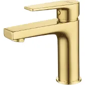 Boss & Wessing Wastafelkraan bws sharp mengkraan goud