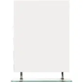 Sapho Badkamerspiegel wega 70x80 cm met planchet glas