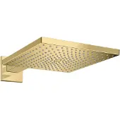 Hansgrohe Hoofddouche raindance e 300 1jet met douche-arm gepolijst goud