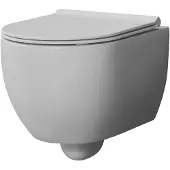 Xenz Gio randloos toilet 52cm met vortexspoeling en zitting grijs mat