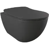 Creavit Hangend Toilet - 35.3x51cm - RVS Bidetsproeier - spoelrandloos - mat antraciet FE322-00AM00E-0005