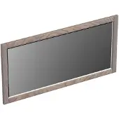 Forzalaqua Spiegel gela 100x2x50 cm eiken silver grey