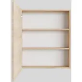 Boss & Wessing Spiegelkast bws cube 60x70x16 cm 1 deur washed oak
