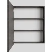 Boss & Wessing Spiegelkast bws cube 60x70x16 cm 1 deur donkerbruin