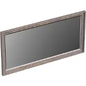 Forzalaqua Spiegel reno 100x2x50 cm eiken silver grey