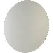 Sapho Badkamerspiegel aqualine rond 50 cm zonder omlijsting aluminium
