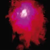 Porcupine Tree - Up the Downstair (2 LP)