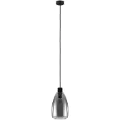Eglo Smoke hanglamp Chelvey