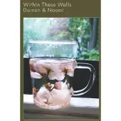 Konkurrent Damon & Naomi - Within These Walls (LP)