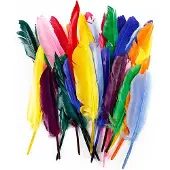 DIY - Feathers 17-20 cm (250 pcs) (51675)