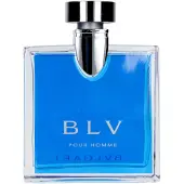 Bvlgari Herengeuren Pour Homme BlvEau de Toilette Spray