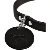 Hunter Pet Aalborg Hondenhalsband