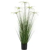 J-Line 33110 Cyperus Alternifolius 5 Koppen In Pot Pvc Groen Small - 32 x 100 x 32 cm