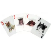 Kikkerland Kaartspel kkgg38 3d kat