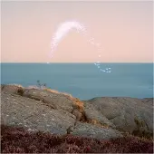Konkurrent Cassandra Jenkins - An Overview On Phenomenal Nature (LP) (Coloured Vinyl)