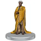 Wizkids Critical Role: NPC's van Wildemount