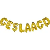 Fiesta Folieballonnen - Geslaagd - Niet voor Helium - 41cm