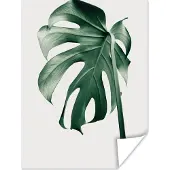 PosterMonkey Poster Monstera - Bladeren - Groen - Stilleven - 90x120 cm