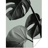 PosterMonkey Poster Monstera - Bladeren - Groen - Stilleven - 30x40 cm