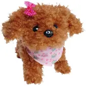 Simba CCL Tea Cup Poodle Puppy