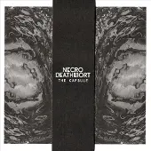 Suburban The Capsule