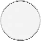 vidaXL Wandspiegel rond Ø20 cm zilverkleurig