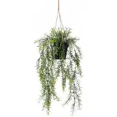 Driesprong Collection Zijdeplant Hangplant met pot Asparagus kunstplant