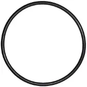 Pentair O-Ring voor Deksel IntelliFlo Whisperflo zwembadpomp