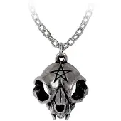 Alchemy - My Forever Friend Ketting - Zilverkleurig