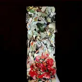 One Little Indian Foxtrott - A Taller Us (LP)