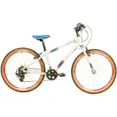 Raleigh Kinderfiets Pop Uni Zilver 24"