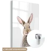 MuchoWow Glasschilderij 120x160 cm - Schilderij acrylglas - Konijn - Dieren - Natuur - Bruin - Foto op glas - Schilderijen