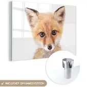 MuchoWow Glasschilderij 180x120 cm - Schilderij acrylglas - Vos - Dieren - Oranje - Natuur - Foto op glas - Schilderijen