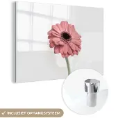 MuchoWow Glasschilderij 180x120 cm - Schilderij acrylglas - Bloemen - Roze - Natuur - Wit - Plant - Foto op glas - Schilderijen