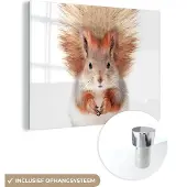MuchoWow Glasschilderij 160x120 cm - Schilderij acrylglas - Eekhoorn - Dieren - Natuur - Oranje - Wit - Foto op glas - Schilderijen