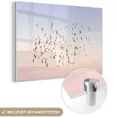 MuchoWow Glasschilderij 180x120 cm - Schilderij acrylglas - Vogels - Zee - Lucht - Natuur - Zomer - Foto op glas - Schilderijen
