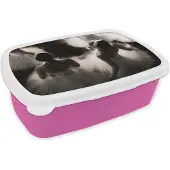 MuchoWow Broodtrommel Roze - Lunchbox - Brooddoos - Ballet - Ballerina - Dans - 18x12x6 cm - Kinderen - Meisje