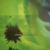 Konkurrent Eiafuawn - Birds In The Ground (LP) (Coloured Vinyl)