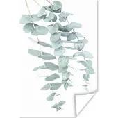 PosterMonkey Poster Planten - Groen - Natuur - Wit - Bladeren - 60x90 cm