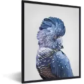 PosterMonkey Fotolijst incl. Poster - Kaketoe - Blauw - Dieren - Natuur - 30x40 cm - Posterlijst